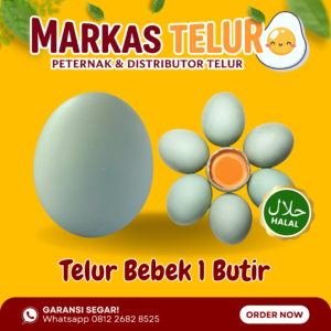 Markas Telur - 1 Butir Telur Bebek Tawar