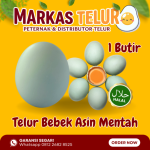 Markas Telur - 1 Butir Telur Bebek Asin Mentah