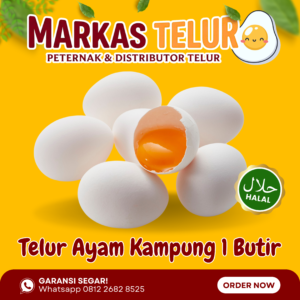 Markas Telur - 1 Butir Telur Ayam Kampung Kuning