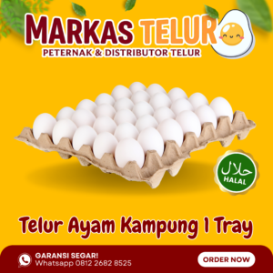 Markas Telur - 1 Tray Telur Ayam Kampung Kuning Isi 30 Butir