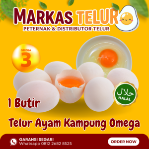 Markas Telur - 1 Butir Telur Ayam Kampung Omega 3