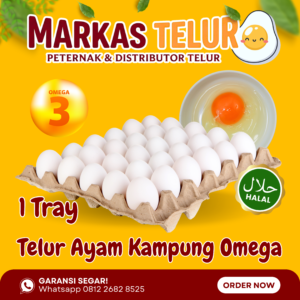 Markas Telur - 1 Tray Telur Ayam Kampung Omega 3 Isi 30 Butir