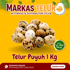 Markas Telur - 1 KG Telur Puyuh