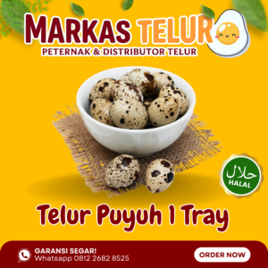 Markas Telur - 1 Tray Telur Puyuh