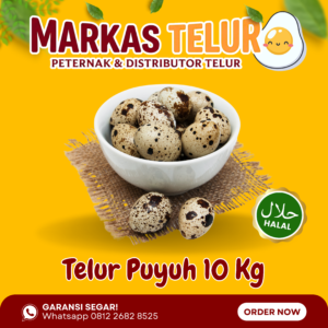 Markas Telur - 10 KG Telur Puyuh