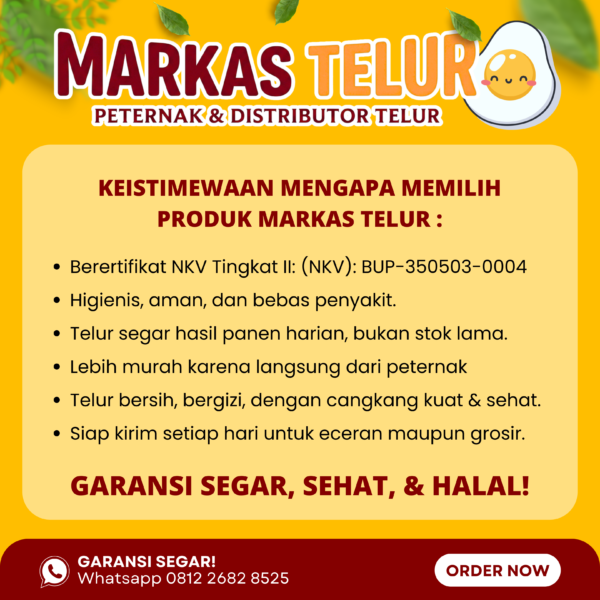 Markas Telur - 10 KG Telur Puyuh