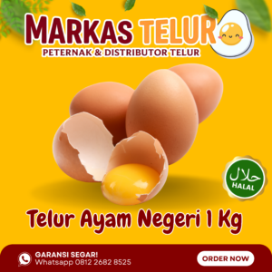 Markas Telur - 1 KG Telur Ayam Negeri