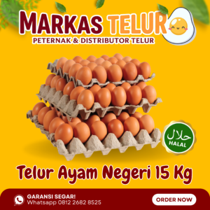 Markas Telur - 15 KG Telur Ayam Negeri