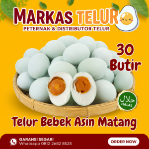 Markas Telur - 30 Butir Telur Bebek Asin Matang