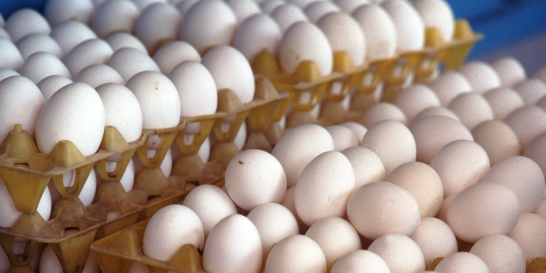 Telur Ayam Kampung